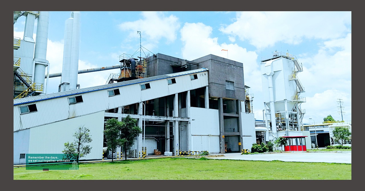 廣州古柏紀(jì)念冊(cè)設(shè)計(jì)圖3 廣州古柏紀(jì)念冊(cè)設(shè)計(jì)圖3