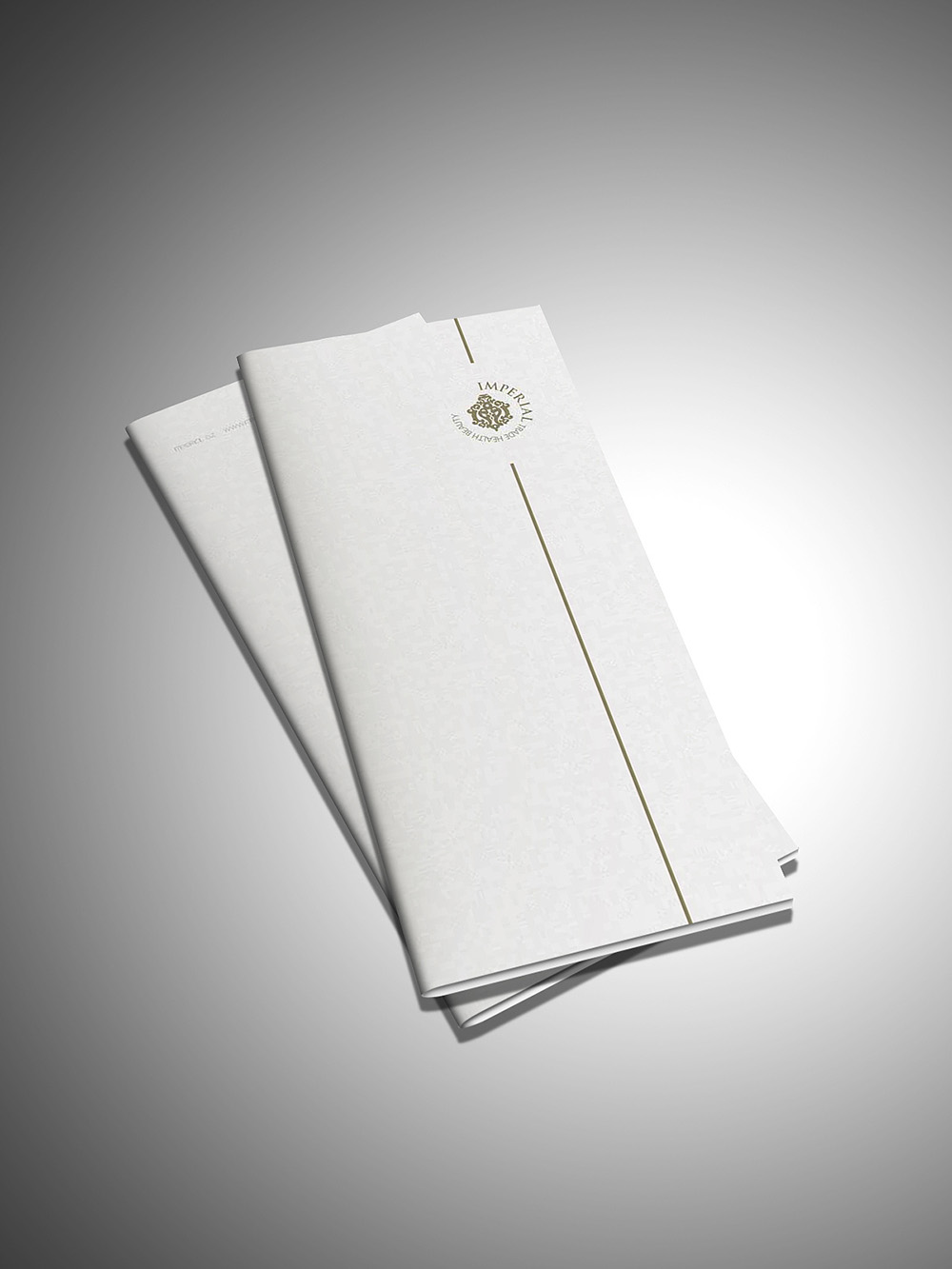 美博會展會品牌宣傳設(shè)計,美博會宣傳冊設(shè)計