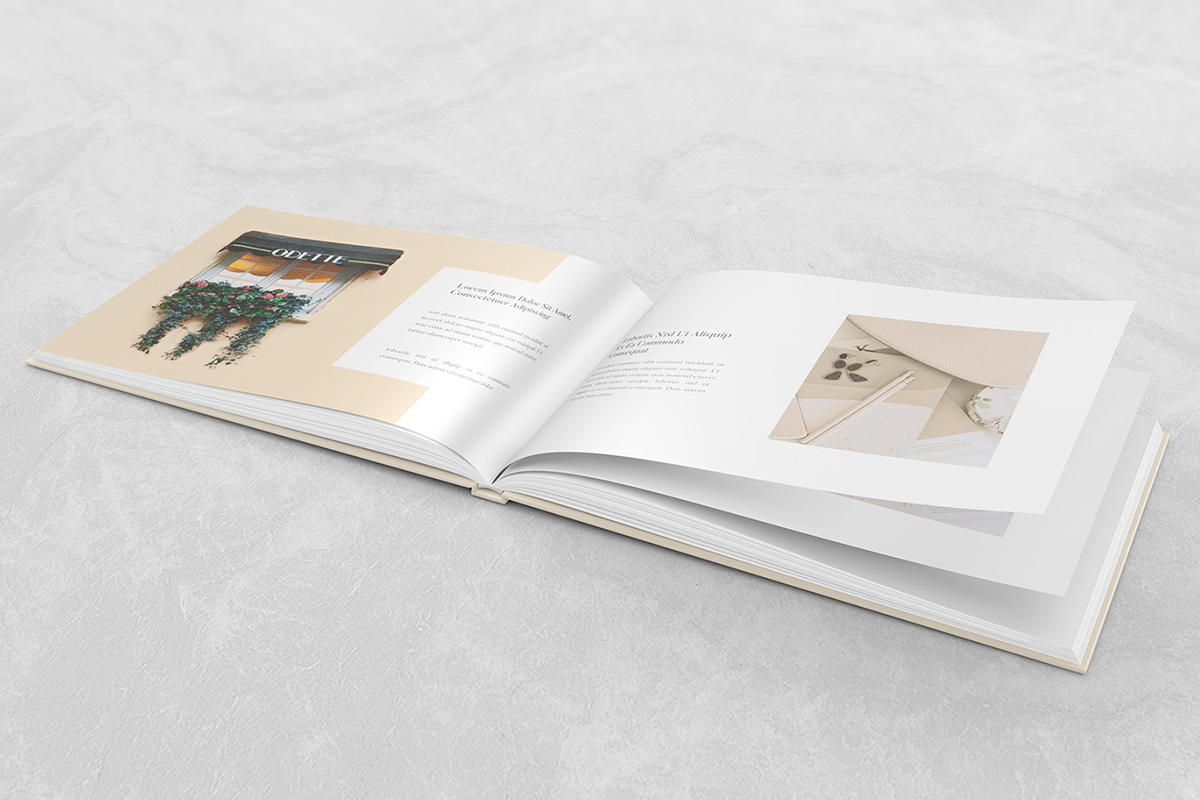 企業(yè)畫冊(cè)設(shè)計(jì)一本需要多少錢？如何制作企業(yè)畫冊(cè)？