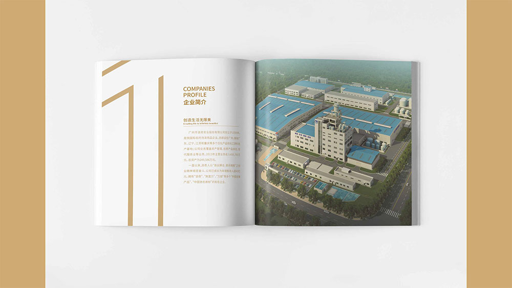 洗滌用品企業(yè)紀(jì)念冊(cè)設(shè)計(jì),集團(tuán)紀(jì)念冊(cè)設(shè)計(jì)公司 洗滌用品企業(yè)紀(jì)念冊(cè)設(shè)計(jì),集團(tuán)紀(jì)念冊(cè)設(shè)計(jì)公司