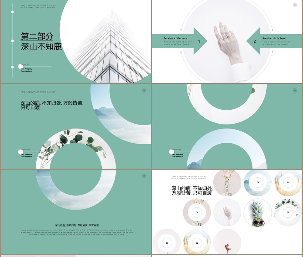 圓形畫(huà)冊(cè)設(shè)計(jì),圓形畫(huà)冊(cè)設(shè)計(jì)公司