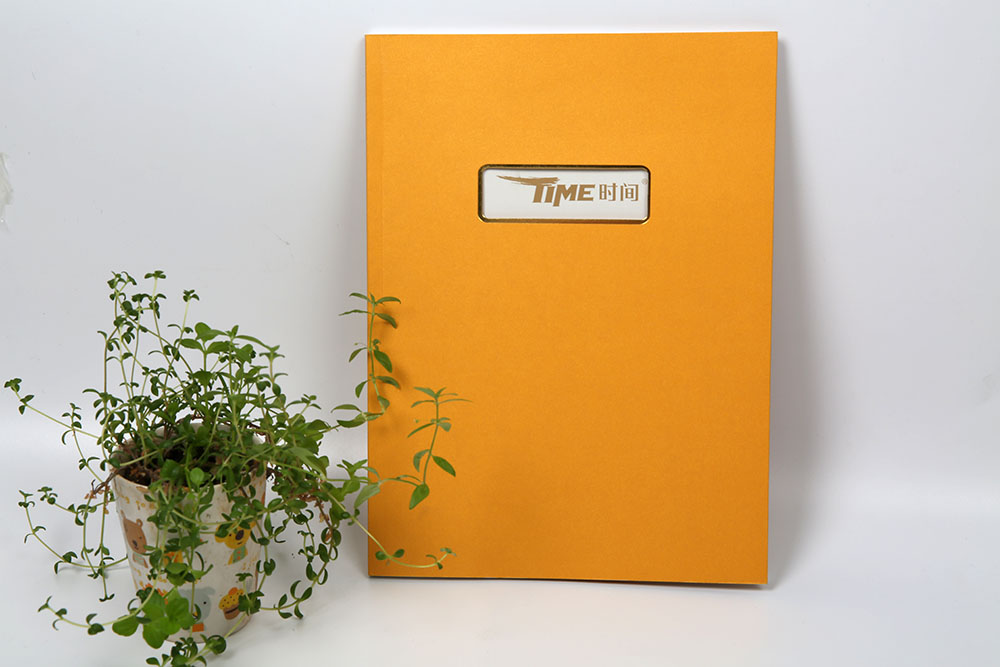 高端商務畫冊印刷,高端商務畫冊印刷公司 高端商務畫冊印刷,高端商務畫冊印刷公司