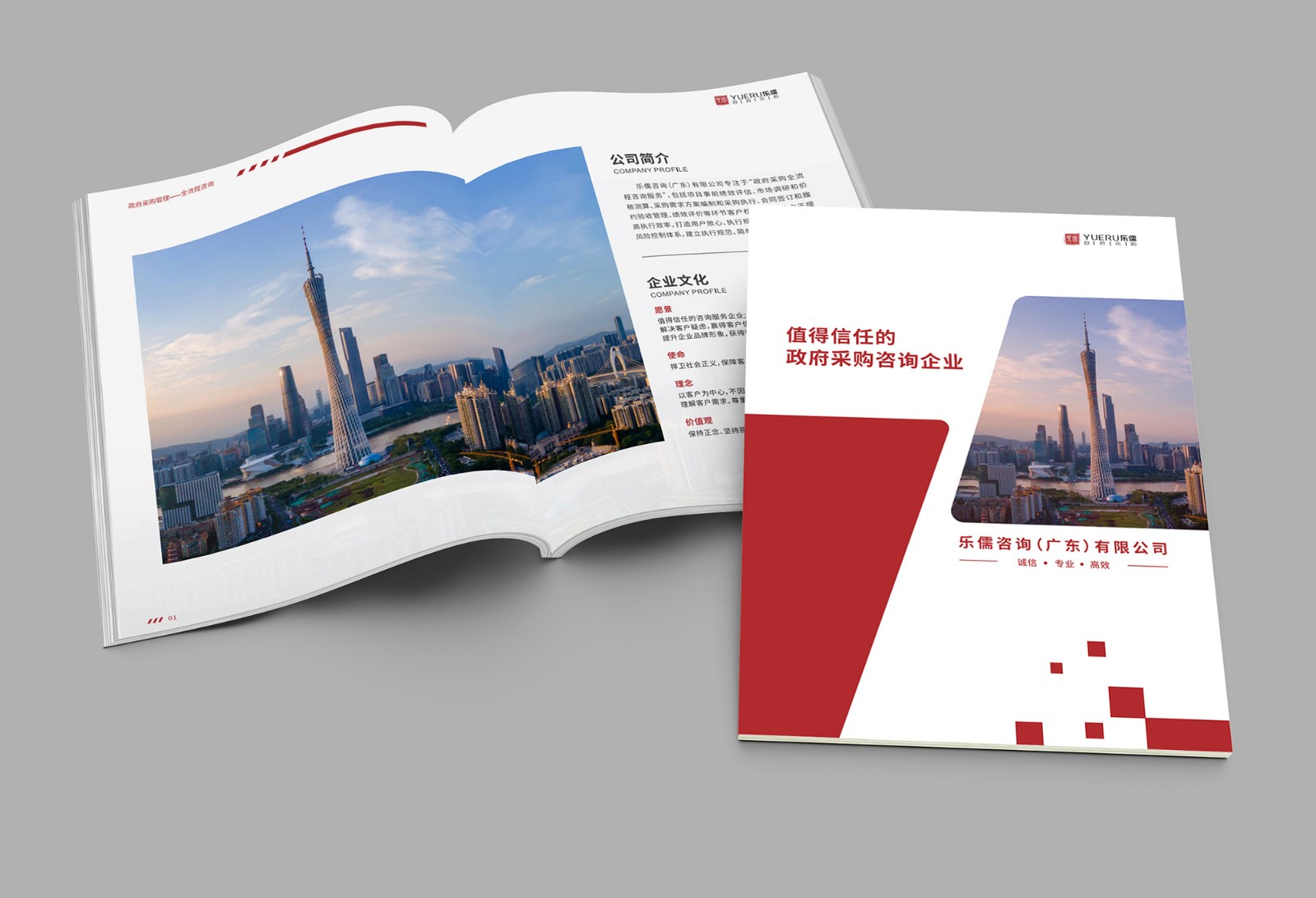 政府采購(gòu)公司畫(huà)冊(cè)設(shè)計(jì) 政府采購(gòu)公司畫(huà)冊(cè)設(shè)計(jì)