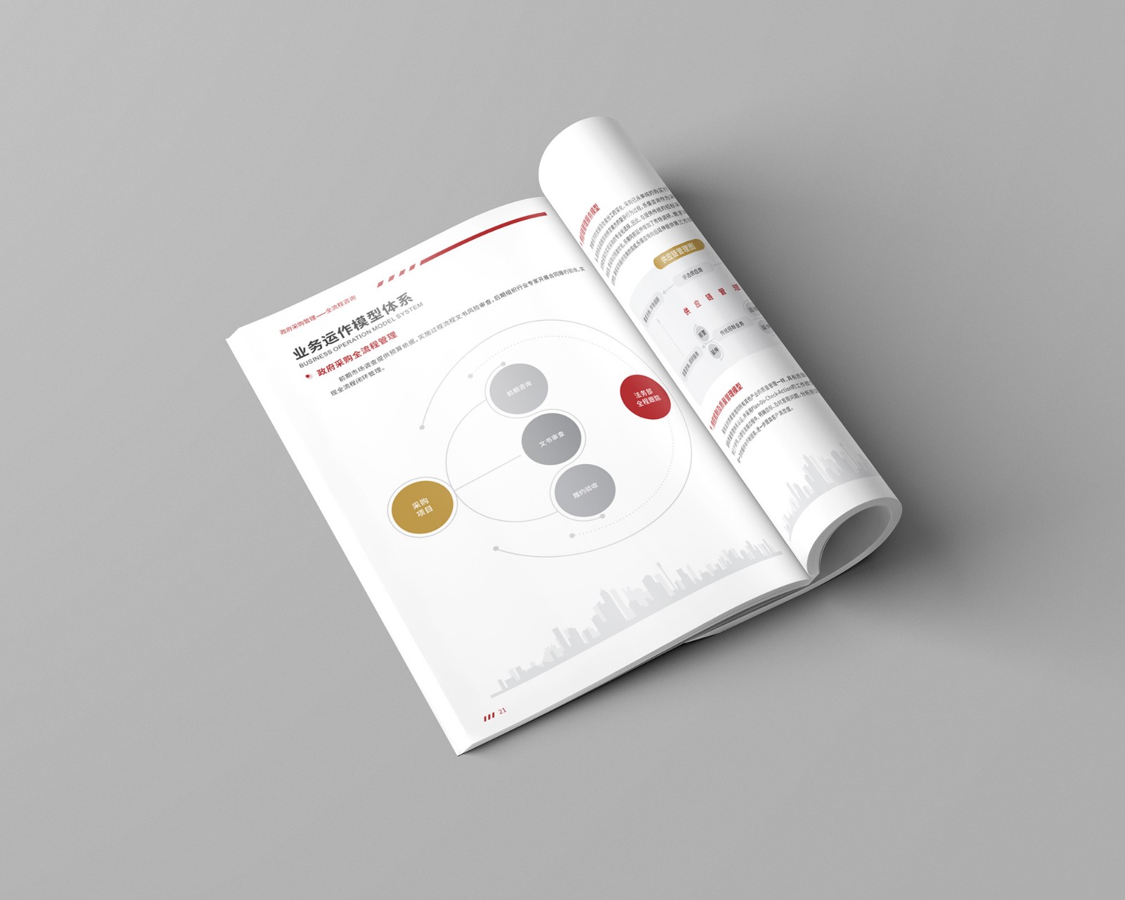 政府采購(gòu)公司畫(huà)冊(cè)設(shè)計(jì) 政府采購(gòu)公司畫(huà)冊(cè)設(shè)計(jì)