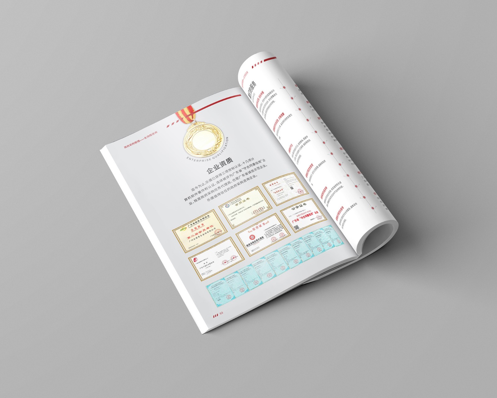 政府采購(gòu)公司畫(huà)冊(cè)設(shè)計(jì) 政府采購(gòu)公司畫(huà)冊(cè)設(shè)計(jì)