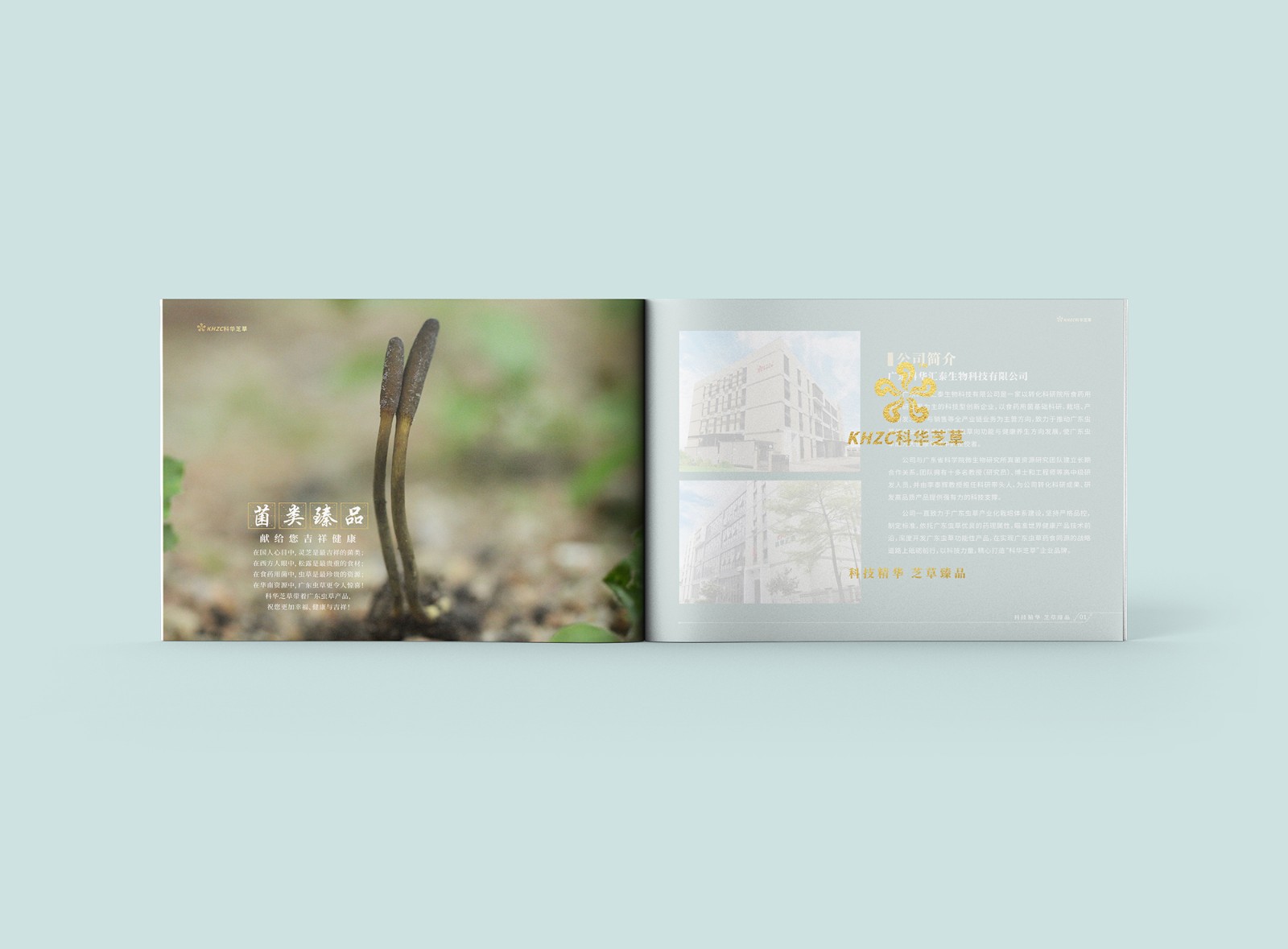 畫冊設(shè)計公司 畫冊設(shè)計公司