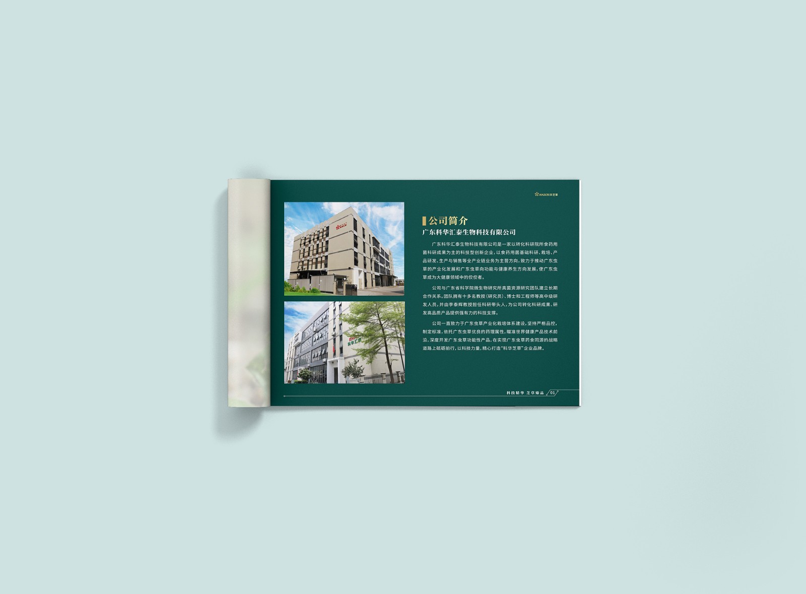 畫冊設(shè)計公司 畫冊設(shè)計公司