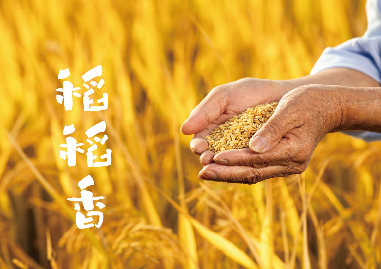 大米VI設計,農(nóng)產(chǎn)品VI設計,食品行業(yè)VI設計公司