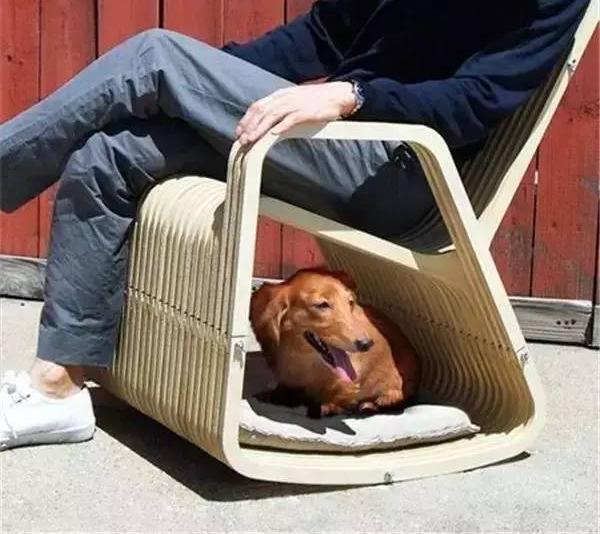 國(guó)外寵物創(chuàng)意產(chǎn)品設(shè)計(jì)都有哪些？這些設(shè)計(jì)受歡迎嗎？