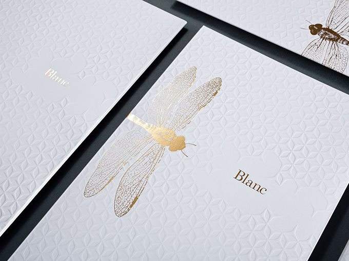 企業(yè)vi設(shè)計包括什么？vi手冊設(shè)計的基本要求有哪些？