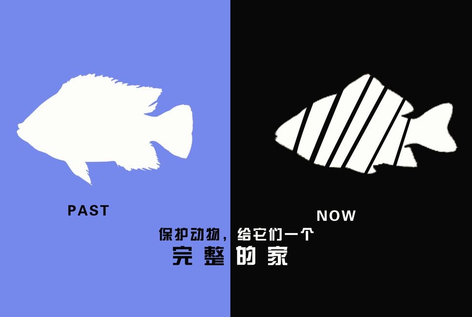 廣告設(shè)計(jì)制作有哪些要求？有哪些注意事項(xiàng)？