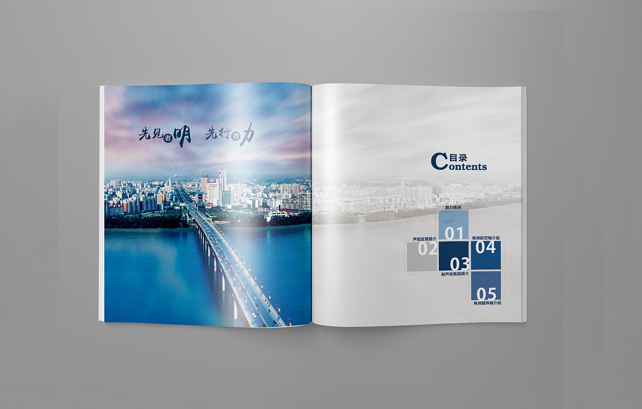 招商引資企業(yè)畫(huà)冊(cè)設(shè)計(jì)案例,招商引資企業(yè)畫(huà)冊(cè)設(shè)計(jì)案例欣賞 招商引資企業(yè)畫(huà)冊(cè)設(shè)計(jì)案例,招商引資企業(yè)畫(huà)冊(cè)設(shè)計(jì)案例欣賞