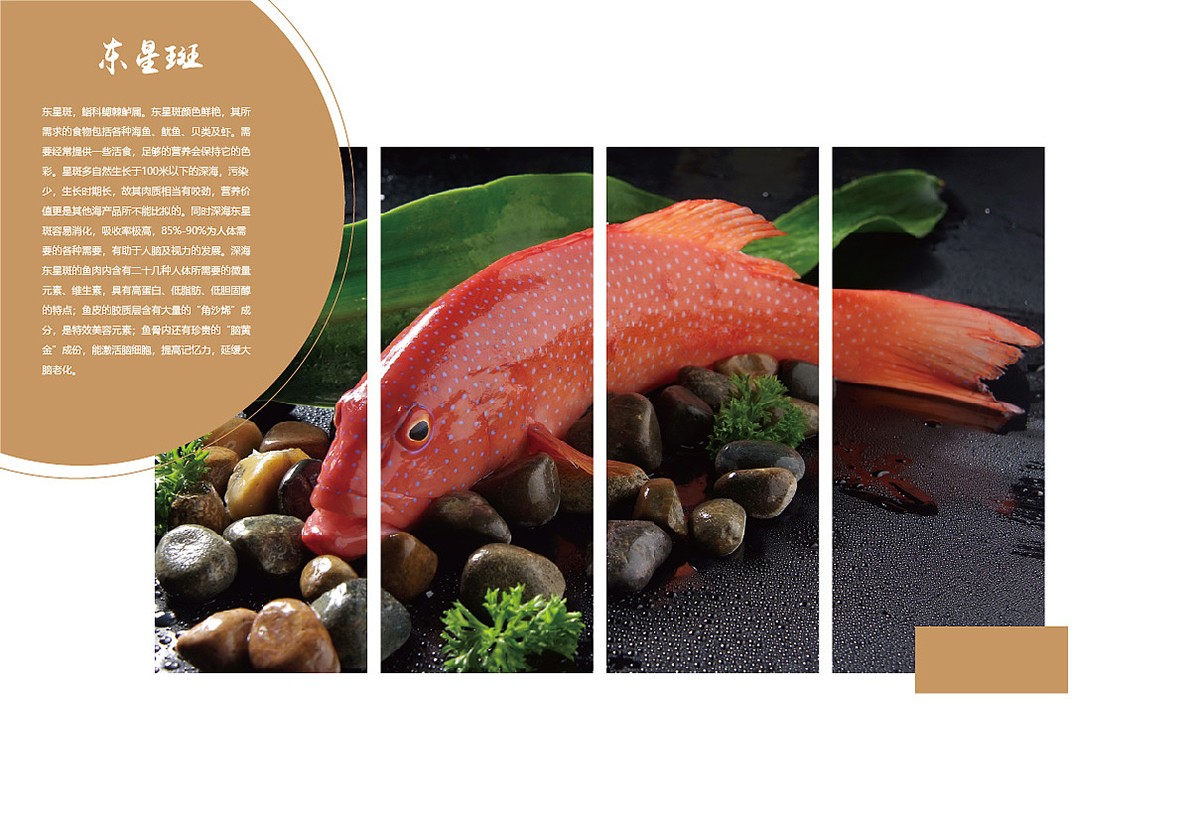 生鮮類產(chǎn)品宣傳冊設(shè)計(jì),生鮮類產(chǎn)品宣傳冊設(shè)計(jì)公司 生鮮類產(chǎn)品宣傳冊設(shè)計(jì),生鮮類產(chǎn)品宣傳冊設(shè)計(jì)公司