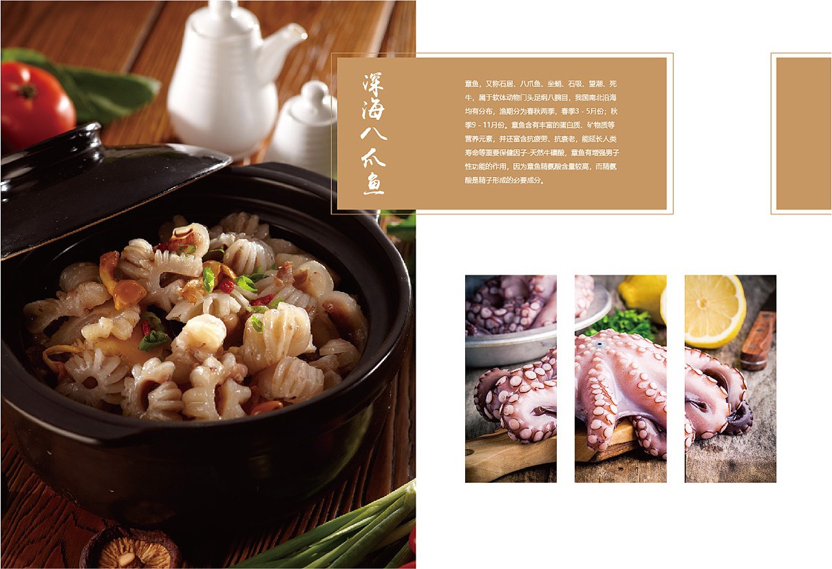 生鮮類產(chǎn)品宣傳冊設(shè)計(jì),生鮮類產(chǎn)品宣傳冊設(shè)計(jì)公司 生鮮類產(chǎn)品宣傳冊設(shè)計(jì),生鮮類產(chǎn)品宣傳冊設(shè)計(jì)公司