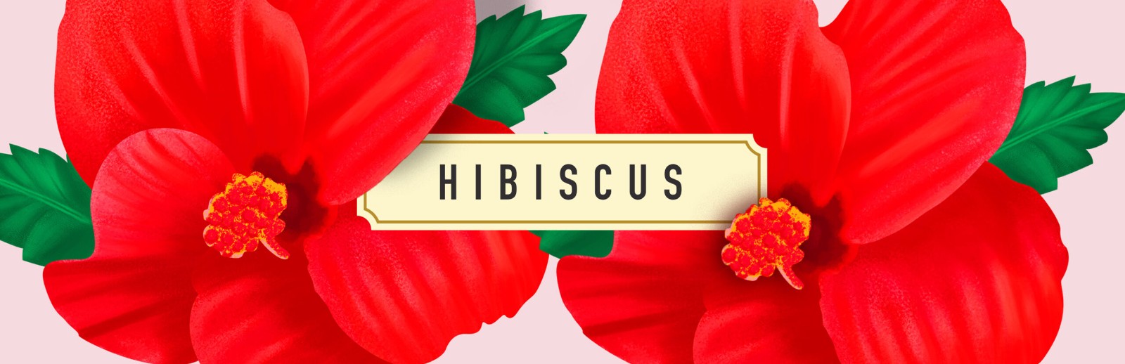 2022菊花茶包裝設(shè)計,菊花茶包裝設(shè)計案例,花茶包裝設(shè)計案例欣賞 2022菊花茶包裝設(shè)計,菊花茶包裝設(shè)計案例,花茶包裝設(shè)計案例欣賞