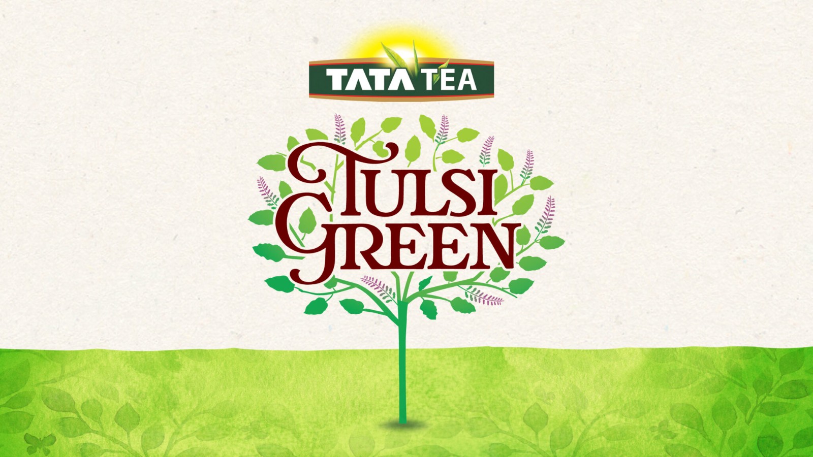 保健茶葉包裝設(shè)計(jì),花茶包裝設(shè)計(jì)公司,古柏設(shè)計(jì) 保健茶葉包裝設(shè)計(jì),花茶包裝設(shè)計(jì)公司,古柏設(shè)計(jì)