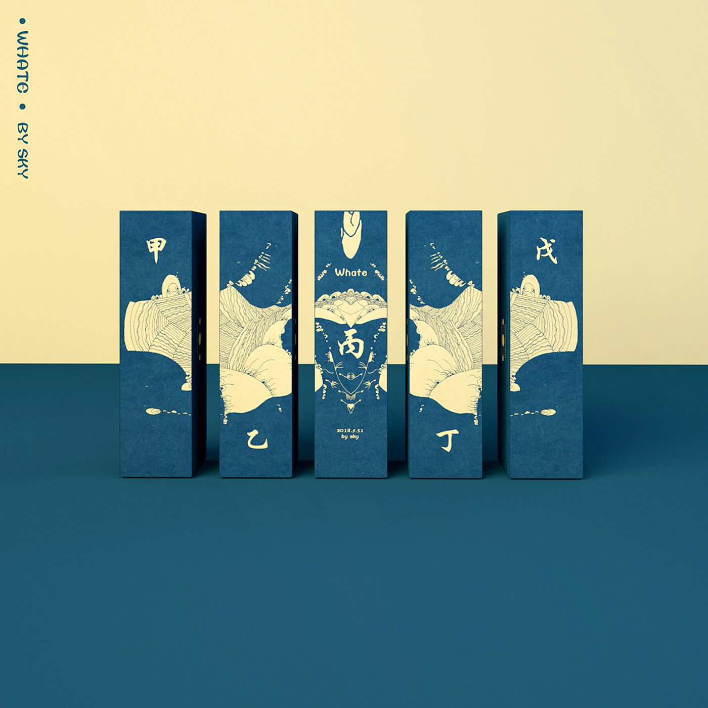 丙化妝品包裝設(shè)計