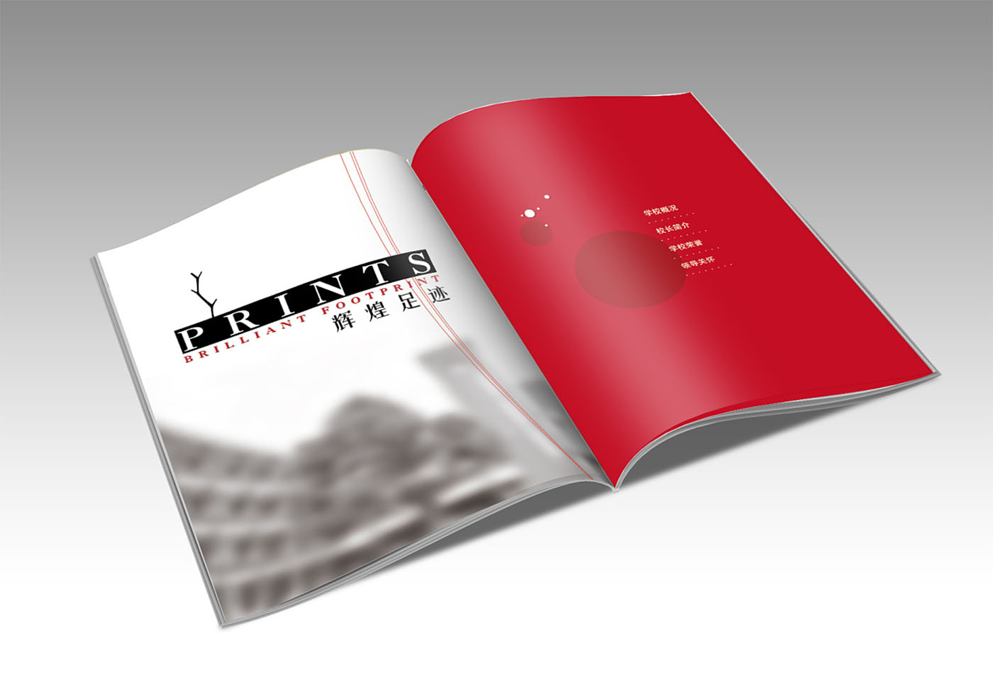 學(xué)校周年紀念冊設(shè)計-企業(yè)紀念畫冊設(shè)計公司 學(xué)校周年紀念冊設(shè)計-企業(yè)紀念畫冊設(shè)計公司