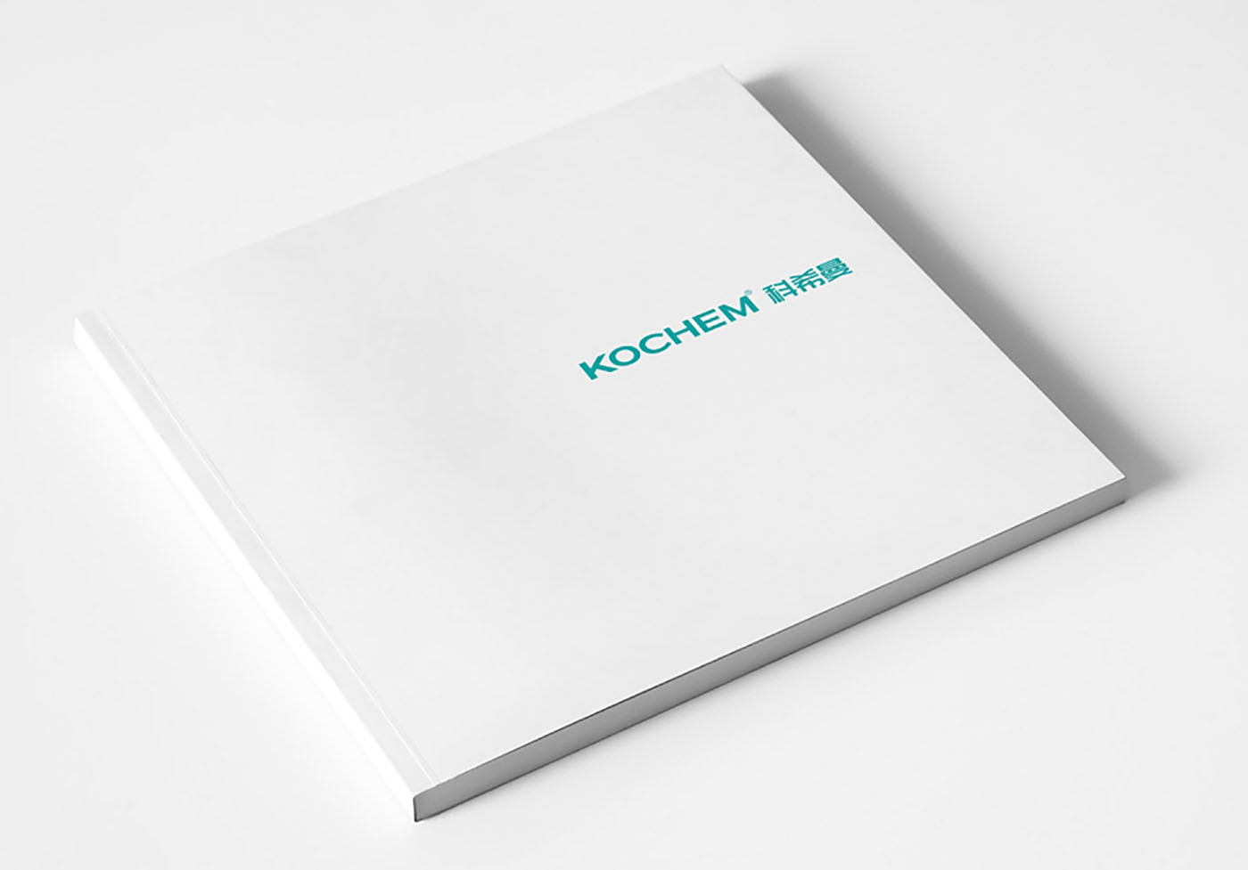 電器集團(tuán)畫冊(cè)設(shè)計(jì)-新穎電器行業(yè)畫冊(cè)設(shè)計(jì)公司 電器集團(tuán)畫冊(cè)設(shè)計(jì)-新穎電器行業(yè)畫冊(cè)設(shè)計(jì)公司