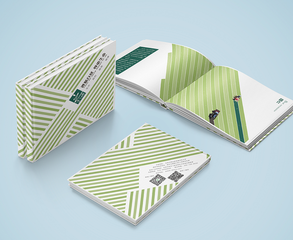 畫冊(cè)排版設(shè)計(jì)，畫冊(cè)排版設(shè)計(jì)公司