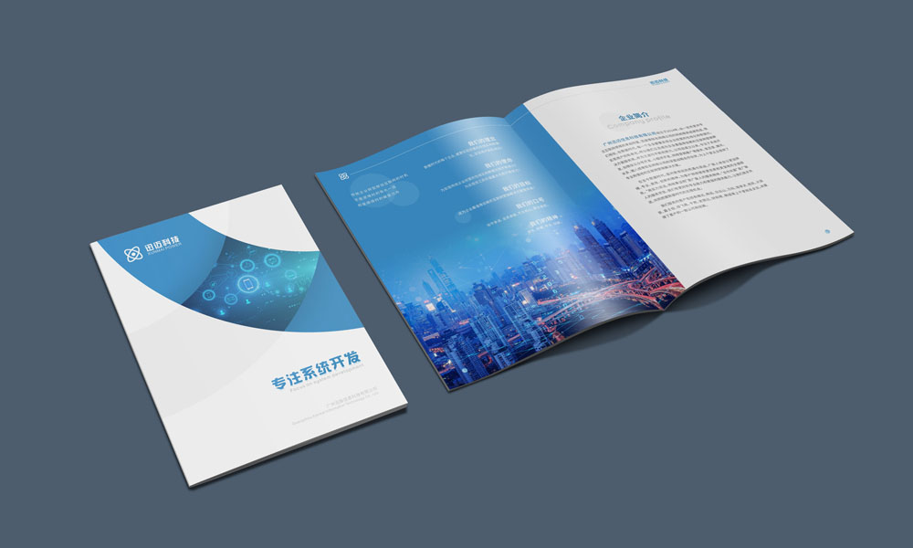 系統(tǒng)開發(fā)科技感宣傳畫冊設(shè)計(jì)公司