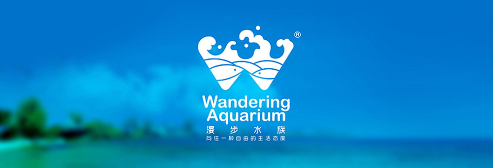 專業(yè)的LOGO設(shè)計師哪些錯誤絕對不能犯？