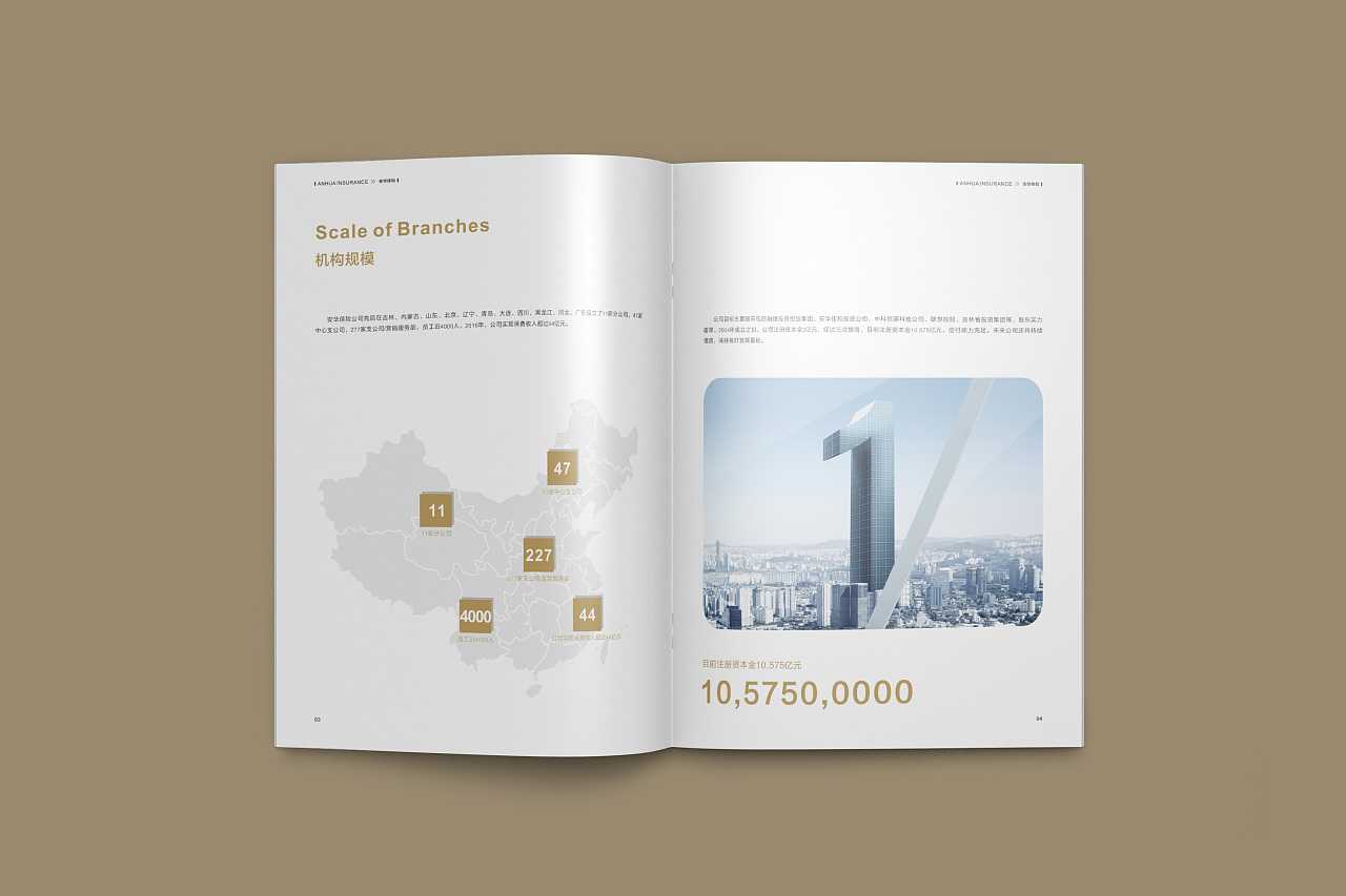 成都企業(yè)為什么要選擇高端宣傳冊(cè)設(shè)計(jì)公司呢？