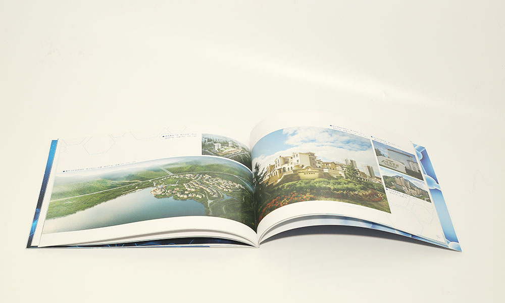 一個(gè)畫冊(cè)工廠費(fèi)用多少？