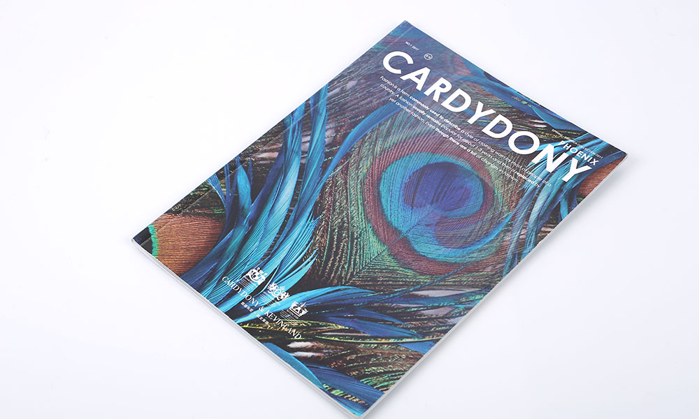 一個(gè)畫冊(cè)怎么哪家好？