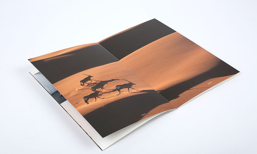 電子宣傳冊制作怎么樣？