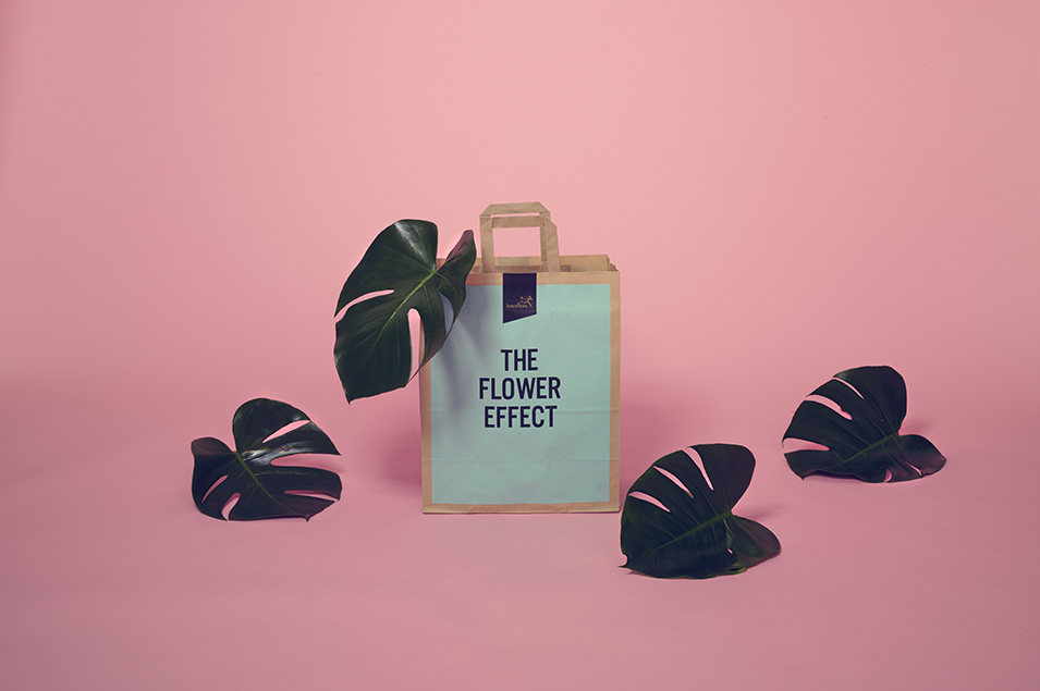 核桃包裝盒設(shè)計(jì)機(jī)構(gòu)